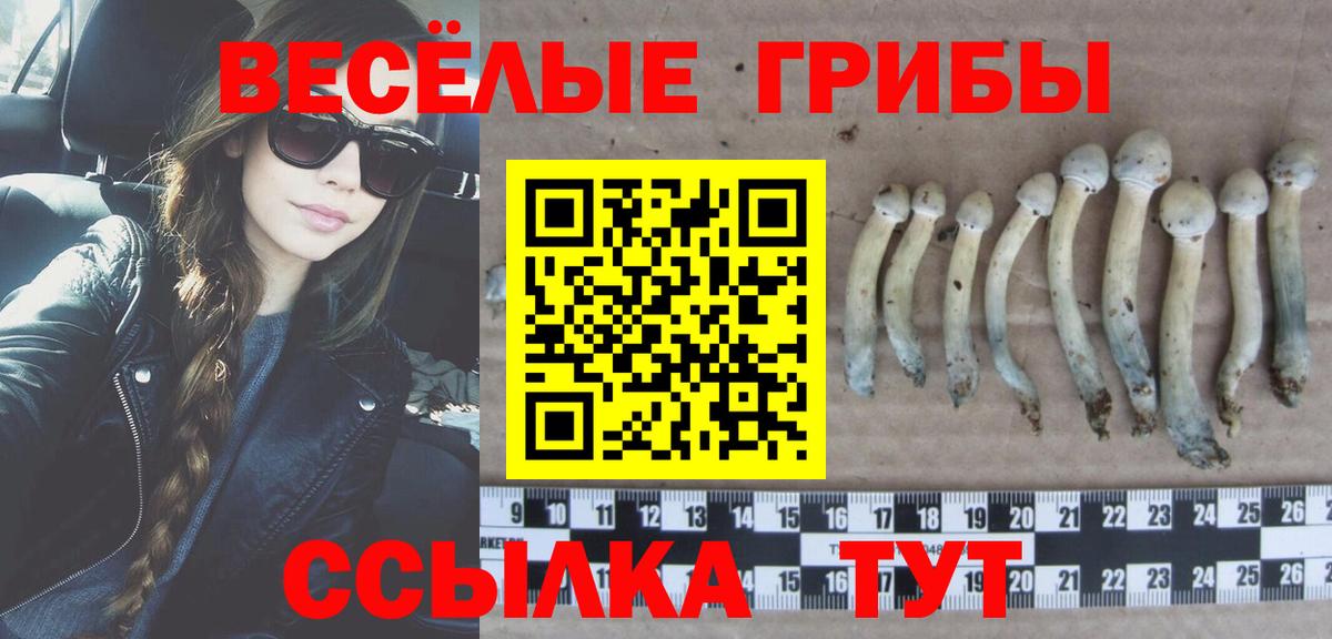 Псилоцибиновые грибы Psilocybine cubensis  Вход с VPN  Печора 