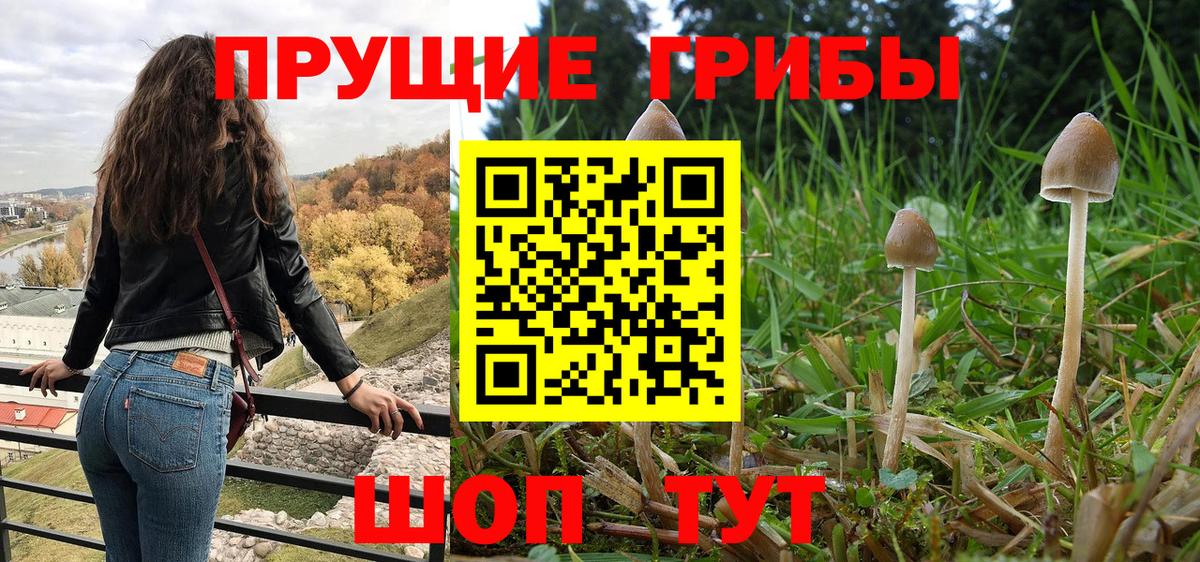 Галлюциногенные грибы GOLDEN TEACHER Печора